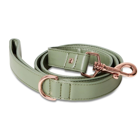 NWOT Koston SET M/L Dog Collar and Leash Set in sage green - Picture 4 of 14